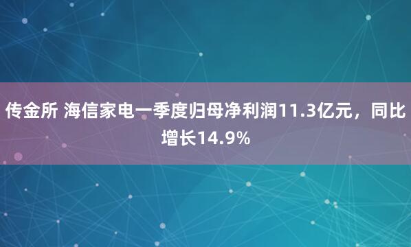 传金所 海信家电一季度归母净利润11.3亿元，同比增长14.9%
