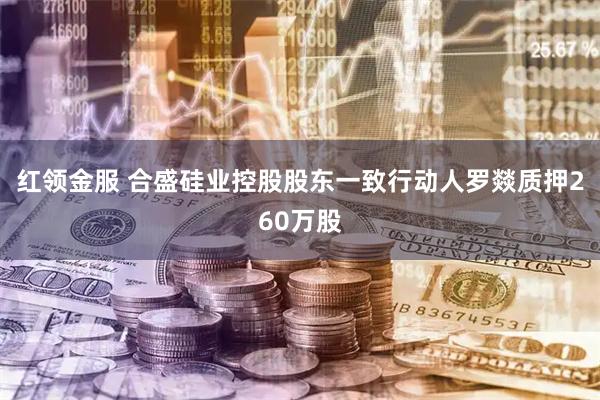 红领金服 合盛硅业控股股东一致行动人罗燚质押260万股