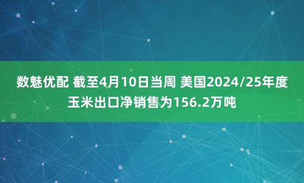 数魅优配 截至4月10日当周 美国2024/25年度玉米出口净销售为156.2万吨