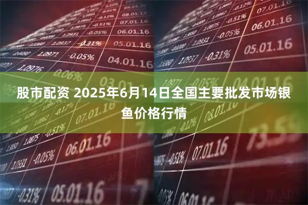 股市配资 2025年6月14日全国主要批发市场银鱼价格行情