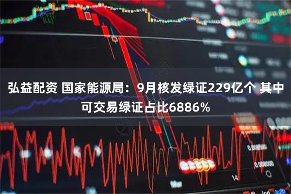 弘益配资 国家能源局:9月核发绿证229亿个 其中可交易绿证占比6886%